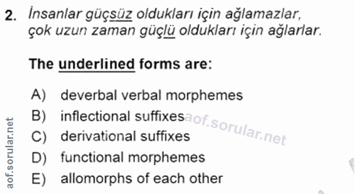 Soru 2