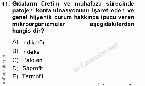 Soru 11