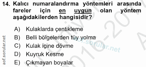 Soru 14