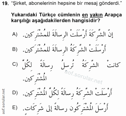 Soru 19