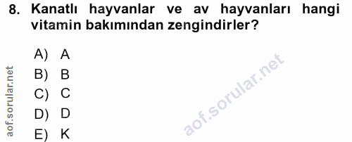 Soru 8