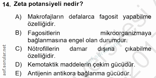 Soru 14
