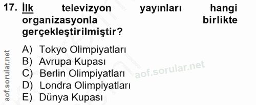 Soru 17