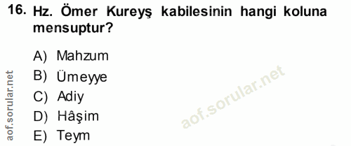 Soru 16
