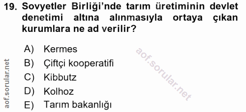 Soru 19