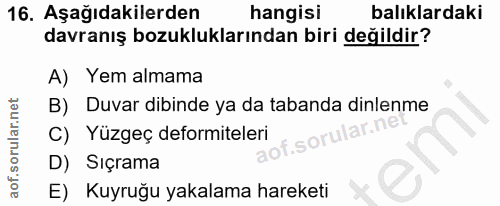 Soru 16