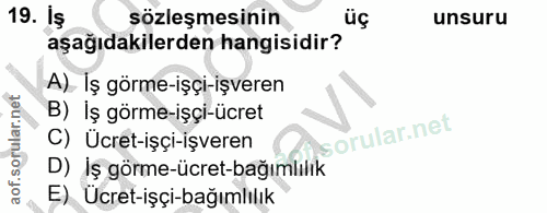 Soru 19