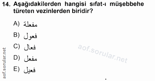 Soru 14