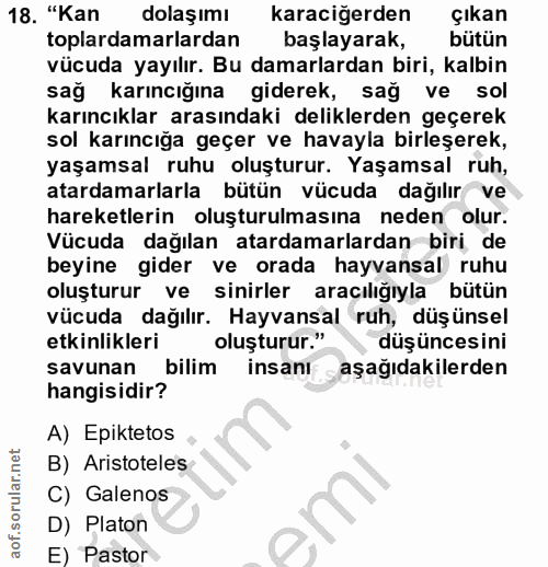 Soru 18