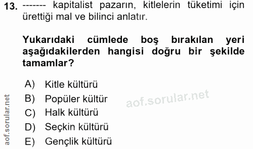 Soru 13