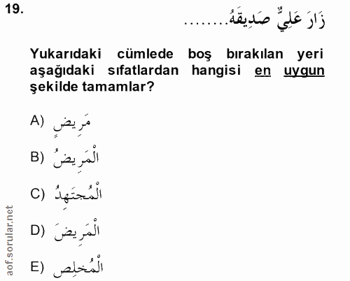 Soru 19