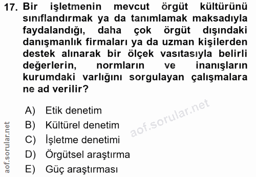 Soru 17