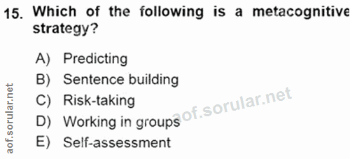 Soru 15