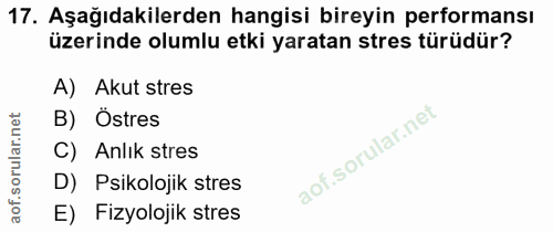 Soru 17