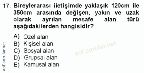 Soru 17