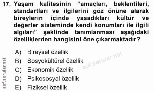 Soru 17