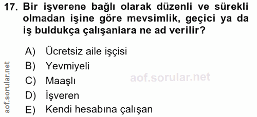 Soru 17