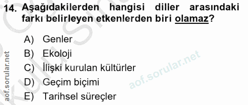 Soru 14