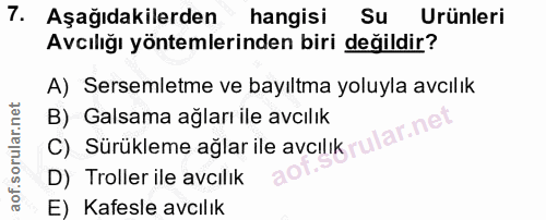 Soru 7