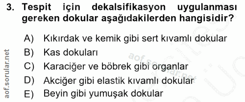 Soru 3