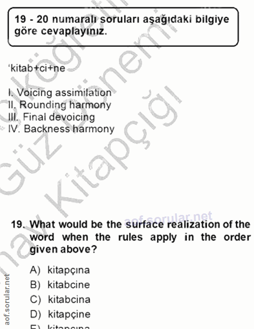 Soru 19