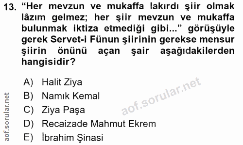 Soru 13