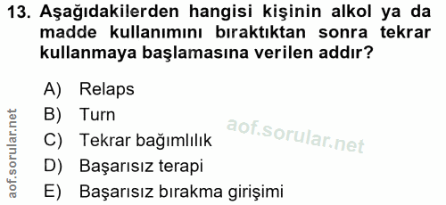 Soru 13