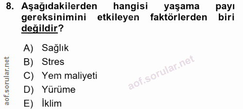 Soru 8