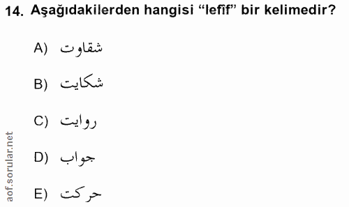 Soru 14