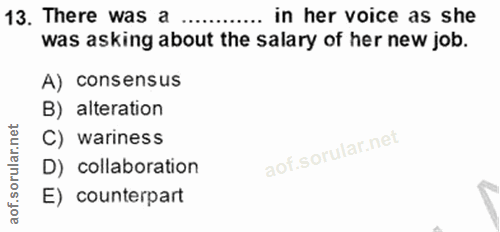 Soru 13