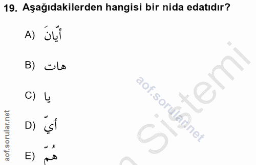 Soru 19