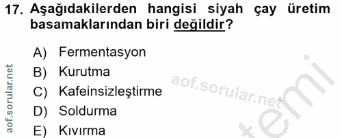 Soru 17