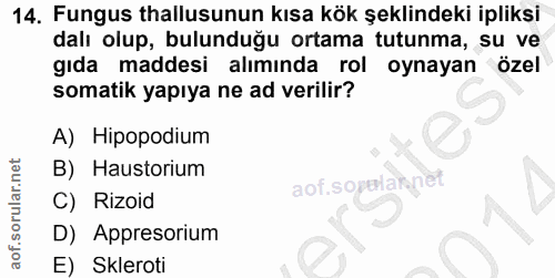 Soru 14