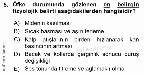 Soru 5