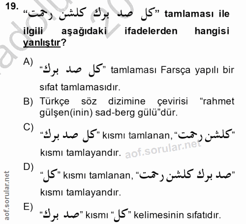 Soru 19