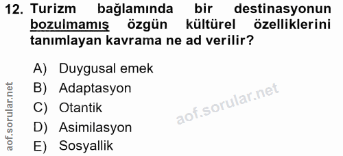Soru 12