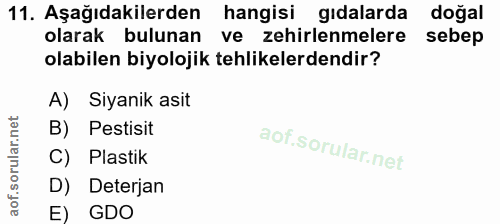 Soru 11