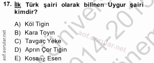 Soru 17