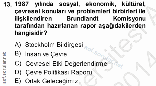 Soru 13