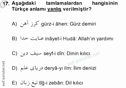 Soru 17