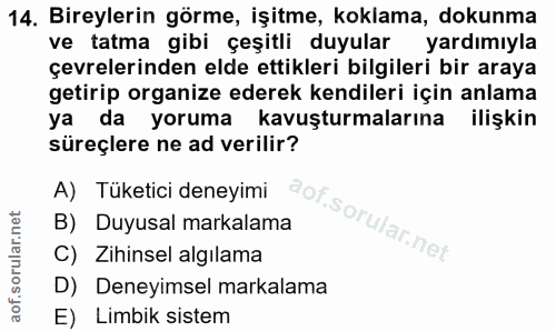 Soru 14
