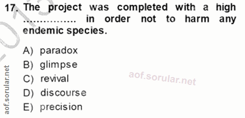 Soru 17