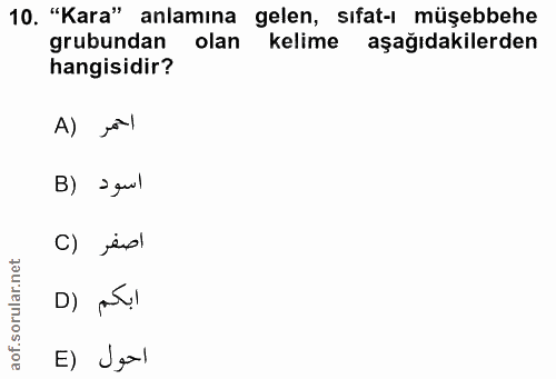 Soru 10