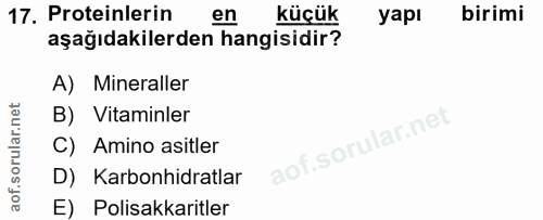 Soru 17