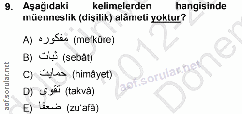 Soru 9