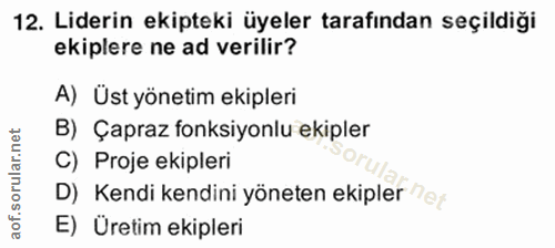 Soru 12