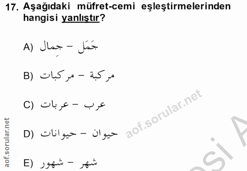 Soru 17