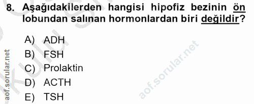 Soru 8