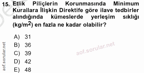 Soru 15