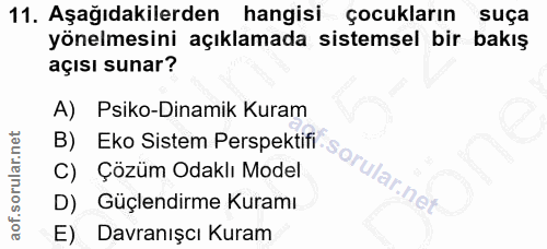 Soru 11